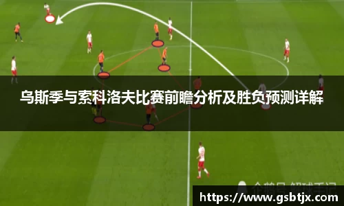 乌斯季与索科洛夫比赛前瞻分析及胜负预测详解